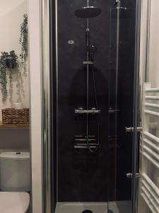 una doccia con porta in vetro in bagno di Studio «  La Mouette Rieuse » a Le Touquet-Paris-Plage