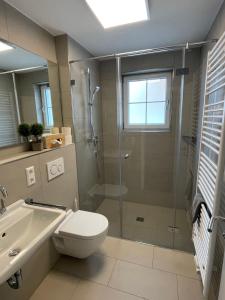 a bathroom with a shower and a toilet and a sink at Landgasthof Linde Hepbach, Hotel & Restaurant in Markdorf