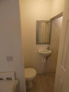 a bathroom with a toilet and a sink at Bridge Street Studio Room in Merthyr Tydfil