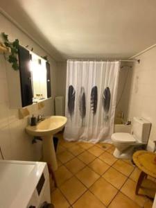 uma casa de banho com uma cortina de chuveiro branca e um WC. em Laki's House Οροφοδιαμέρισμα με σοφίτα em Thermo