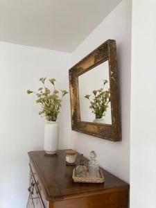 een spiegel op een muur met twee planten op een tafel bij Appartement Les Corsaires in Granville