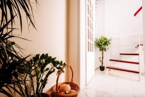 Fotografie z fotogalerie ubytování Melos House - Charming Apartment with Jacuzzi in the Heart of the City Perfect for Memorable Summer Experiences By Villa Mana Gers v destinaci Zakynthos Town