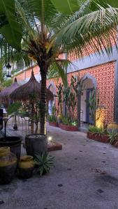 a courtyard with a palm tree and a building at Sunflower Stay And Surf in Denpasar