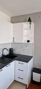 Kuchyň nebo kuchyňský kout v ubytování Apartments Ozrenka