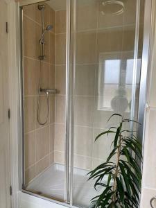 a shower with a glass door next to a plant at Hibiscus House in Shilton