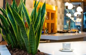 Zestaw do parzenia kawy i herbaty w obiekcie Hotel Palacio de Aiete