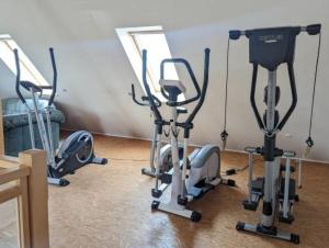 a room with three exercise bikes and a mirror at Lieselotte Strandklamotte in Wulfen auf Fehmarn