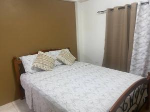 1 dormitorio con cama con almohadas y ventana en Cozy Quarters Tobago, en Scarborough