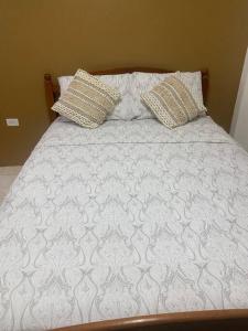 a bed with two pillows on top of it at Cozy Quarters Tobago in Scarborough