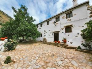 - une vue sur l'extérieur d'un bâtiment blanc avec un arbre dans l'établissement Molino Laroya, à Laroya