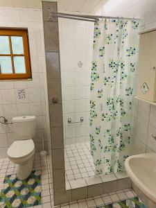 uma casa de banho com um chuveiro, um WC e um lavatório. em Erdőszélén Házikó Vendégház em Kehidakustány