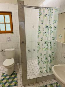 a bathroom with a shower with a toilet and a sink at Erdőszélén Házikó Vendégház in Kehidakustány