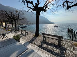two benches sitting next to a body of water at Il sole di calde Lago Maggiore 505 in Castelveccana