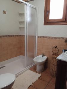 a bathroom with a shower and a toilet and a sink at Casa Los Trillizos in Pampaneira
