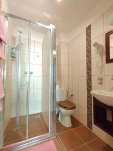 a bathroom with a shower and a toilet and a sink at Indalo Rooms in Krakow