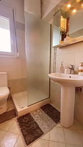 a bathroom with a shower and a sink and a toilet at dimitris house 2 in Alepou