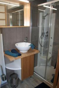 uma casa de banho com um lavatório e um chuveiro em Gîte des Renards em La Broque