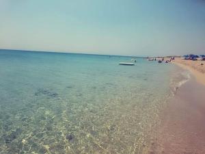 Táj Show holiday homes közelében Még 4 kép