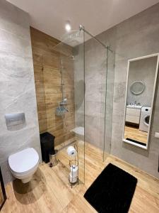 a bathroom with a shower and a toilet and a sink at Niezapominajek in Opole