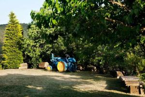 Vonkajšia záhrada v ubytovaní Masia Mas d'en Bosch Casa Rural Baronia de Rialb