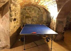 Stolný tenis v ubytovaní Masia Mas d'en Bosch Casa Rural Baronia de Rialb alebo v jeho okolí