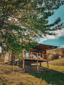 un lit dans une cage dans un champ avec un arbre dans l'établissement Utopia by NorAtlas Heritage - Adults Only, à Buzău