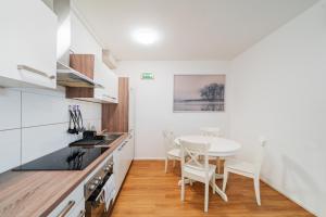 a kitchen with a table and chairs in a room at Central Apartment Lofts in Vienna