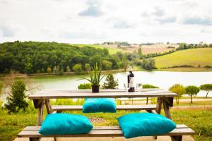 stół piknikowy z niebieskimi poduszkami i butelką wina w obiekcie Résidence L'Oustal Del Carlat w mieście Carla-Bayle