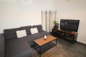 a living room with a gray couch and a tv at Apartment Francesca mit Parkplatz nähe Altstadt in Sibiu