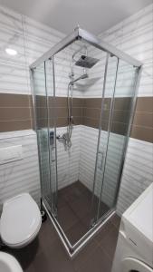 uma cabina de duche na casa de banho com WC em Apartman TEJA DELUXE em Vrnjačka Banja
