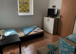 TV a/nebo společenská místnost v ubytování Pension Sara