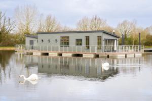 a house on a dock with swans in the water at Berth 6 on Upton Lake, Upton-upon-Severn Home on Water in Upton upon Severn