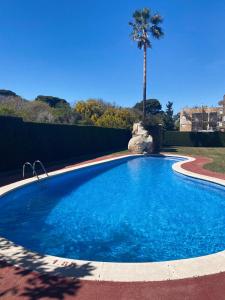 une grande piscine bleue avec un palmier en arrière-plan dans l'établissement Dreams Apartment Vilafortuny, à Cambrils