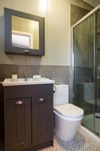 a bathroom with a toilet and a sink and a shower at Berth 6 on Upton Lake, Upton-upon-Severn Home on Water in Upton upon Severn