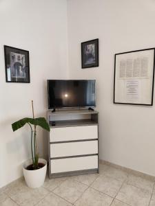 TV a/nebo společenská místnost v ubytování Nice Apartment Montepozzo with Private Garden