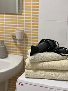 Foto dalla galleria di Apartment Dostojevski a Novi Sad