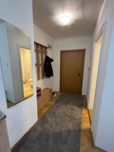 Habitación con baño con espejo y puerta. en Apartment Dostojevski, en Novi Sad