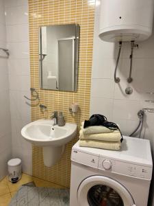 y baño con lavadora y lavamanos. en Apartment Dostojevski, en Novi Sad