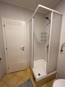 y baño con ducha y puerta de cristal. en Apartment Dostojevski, en Novi Sad