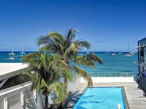 a palm tree and a swimming pool next to the ocean at Kokonut Sea view Beach Front Pool Central Garage in Grand Case