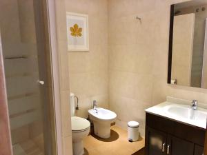 バルセロナにあるトップ バルセロナ アパートメンツのバスルーム(トイレ、洗面台付)