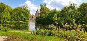 een uitzicht op een vijver met een gebouw op de achtergrond bij Komfortables 3-Zimmer Apartment in Schwetzingen zwischen Mannheim und Heidelberg in Schwetzingen