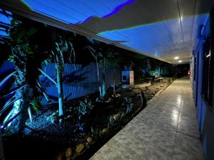 a hallway with plants in a building with blue lights at Hotel Wilson Tulipan Los Chiles in Los Chiles