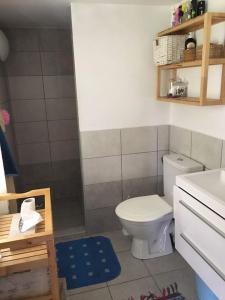 a small bathroom with a toilet and a sink at Cozy mountain cottage with terrace in Dolni Lomna in Dolní Lomná