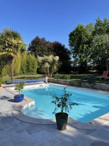 - une piscine avec deux plantes en pot sur une terrasse dans l'établissement Villa Cassandre, à Esvres