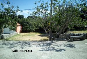 a parking place with a tree and a bench at Guesthouse Stivan (920) in Cres +43 photos