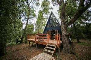 Hide Away Cabin في كنيسنا: بيت ازرق مع درج بجانب شجرة