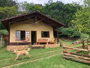 a dog running in front of a small house at Sitio Eco Friends - Perfeita para Casal e Família! in São Bento do Sapucaí