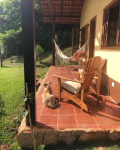 a cat sitting on a porch with a hammock and a chair at Sitio Eco Friends - Perfeita para Casal e Família! in São Bento do Sapucaí +33 photos
