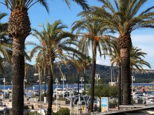 a group of palm trees in a marina at Studio des îles in Cavalaire-sur-Mer